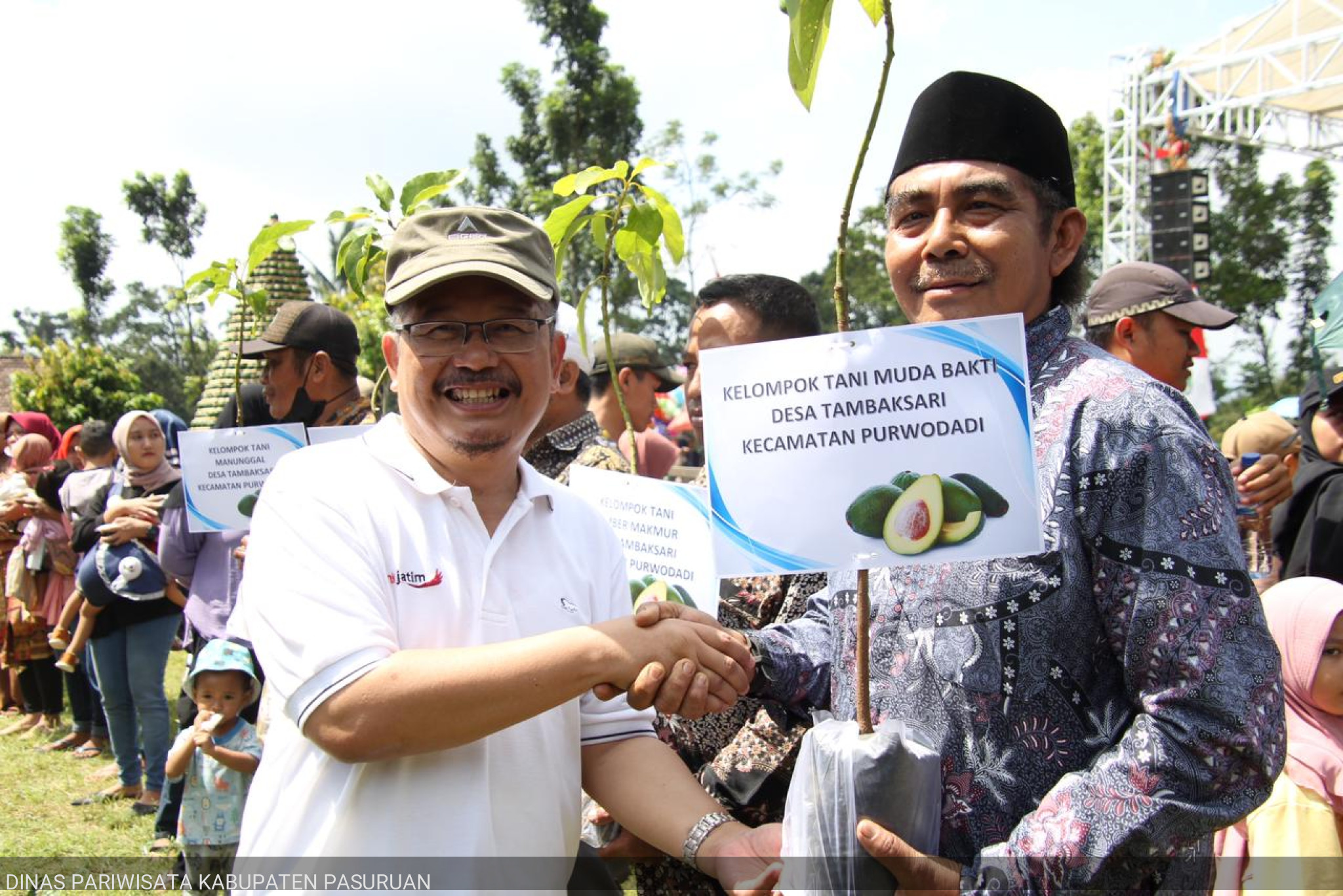 FESTIVAL ALPUKAT Tahun 2024 | GEMA KATING - Gerakan Makan Alpukat untuk Menanggulangi Stunting Tahun 2024