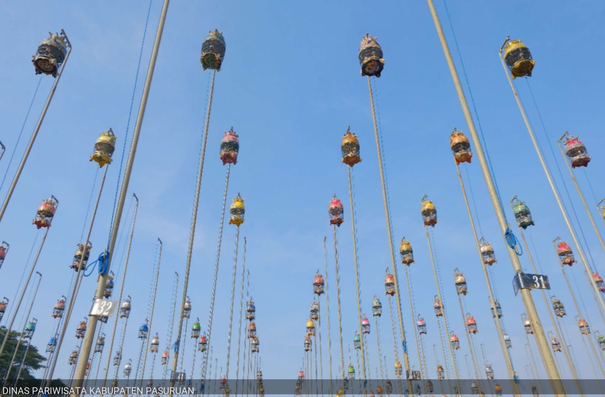 Lomba Seni Suara Alam Burung Perkutut Tahun 2024